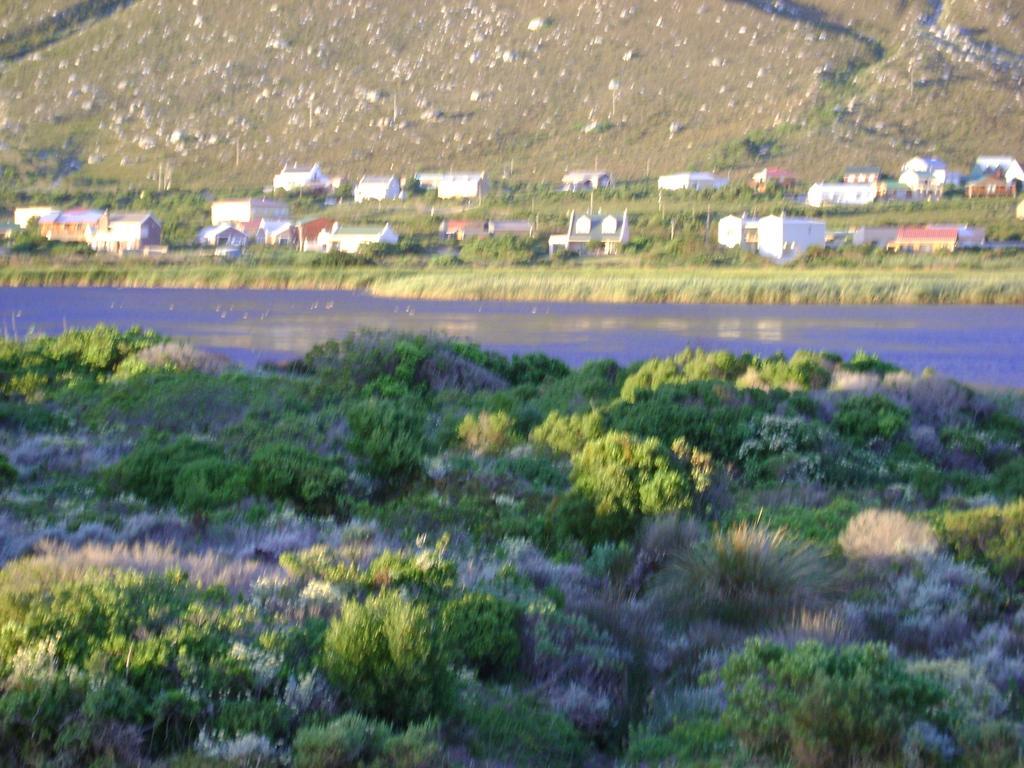 Vlei Studio Apartment Bettys Bay Luaran gambar