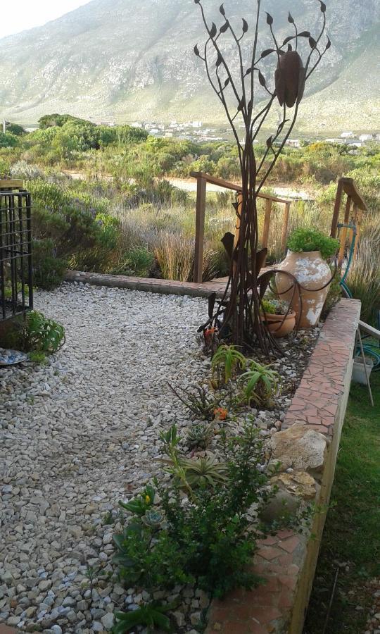 Vlei Studio Apartment Bettys Bay Luaran gambar